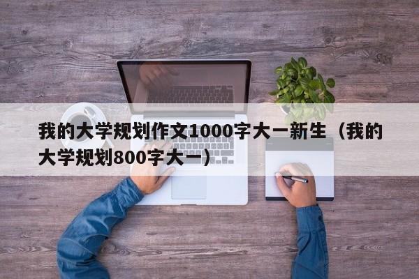 我的大学规划作文1000字大一新生（我的大学规划800字大一）