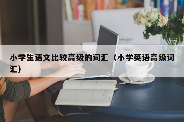 小学生语文比较高级的词汇（小学英语高级词汇）